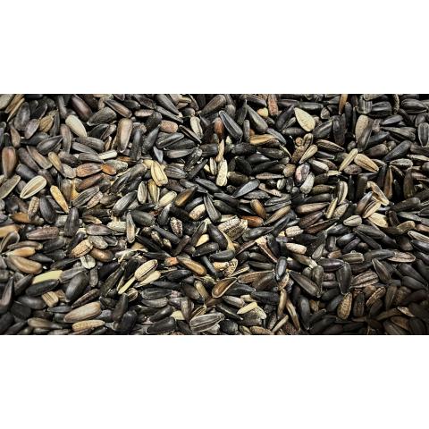 SMALL SUNFLOWER SEED - 1kg