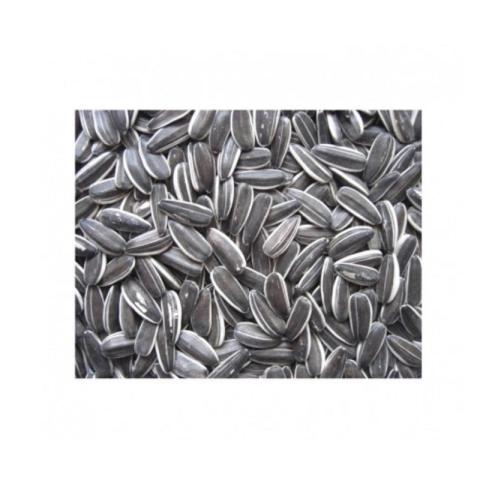 SMALL STRIPED SUNFLOWER SEED 12.5 kg