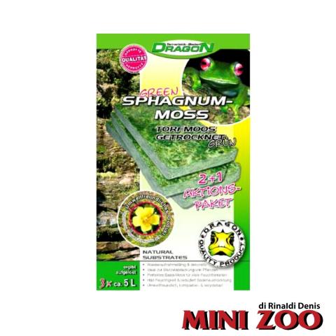 SUBSTRATE MOSS - Green