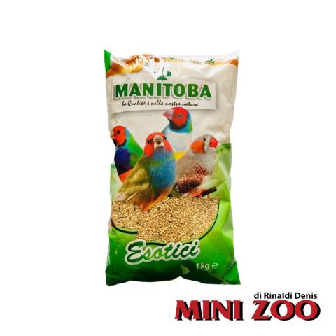EXOTIC MIXTURE - Manitoba