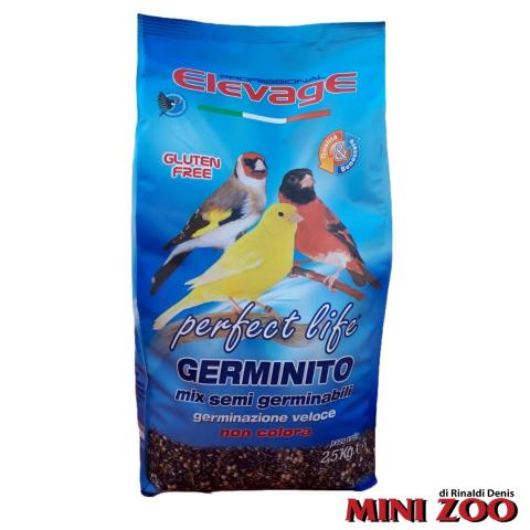 MIX OF GERMINABLE SEEDS "GERMINITO" - 2.5 Kg