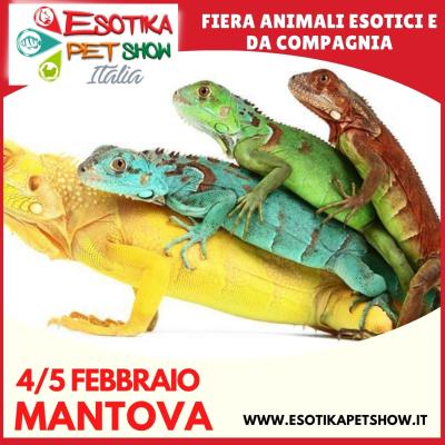 ESOTIKA MANTOVA, IL 4 E 5 FEBBRAIO